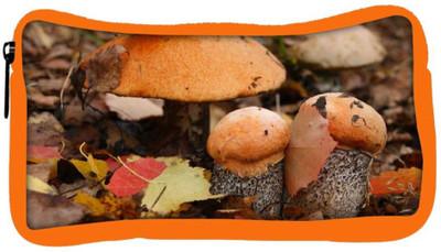 

Snoogg Eco Friendly Canvas Orange Mushroom Designer Student Pen Pencil Case Coin Purse Pouch Cosmetic Makeup Bag (ORANGE) Pouch(Multicolor)