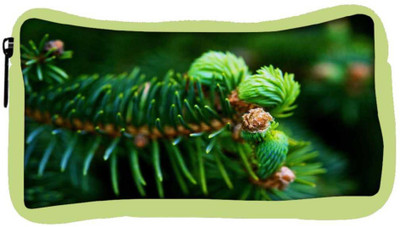 

Snoogg Eco Friendly Canvas Green Branched Tree Designer Student Pen Pencil Case Coin Purse Pouch Cosmetic Makeup Bag (GREEN) Pouch(Multicolor)