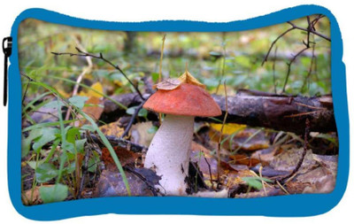 

Snoogg Eco Friendly Canvas Red Mushroom Designer Student Pen Pencil Case Coin Purse Pouch Cosmetic Makeup Bag (BLUE) Pouch(Multicolor)
