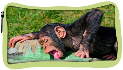 

Snoogg Eco Friendly Canvas Chimpanese Drinkng Water Designer Student Pen Pencil Case Coin Purse Pouch Cosmetic Makeup Bag (GREEN) Pouch(Multicolor)