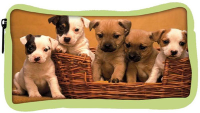 

Snoogg Eco Friendly Canvas Puppy In The Basket Designer Student Pen Pencil Case Coin Purse Pouch Cosmetic Makeup Bag (GREEN) Pouch(Multicolor)