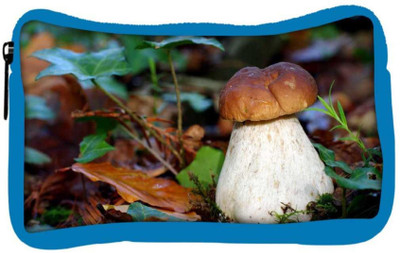 

Snoogg Eco Friendly Canvas White Mushroom Designer Student Pen Pencil Case Coin Purse Pouch Cosmetic Makeup Bag (BLUE) Pouch(Multicolor)