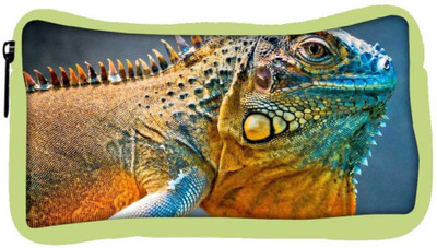 

Snoogg Eco Friendly Canvas Chameleon Designer Student Pen Pencil Case Coin Purse Pouch Cosmetic Makeup Bag (GREEN) Pouch(Multicolor)