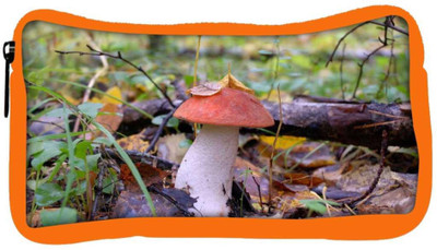 

Snoogg Eco Friendly Canvas Red Mushroom Designer Student Pen Pencil Case Coin Purse Pouch Cosmetic Makeup Bag (ORANGE) Pouch(Multicolor)