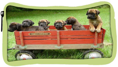 

Snoogg Eco Friendly Canvas Puppy'S Day Out Student Pen Pencil Case Coin Purse Pouch Cosmetic Makeup Bag (GREEN) Pouch(Multicolor)