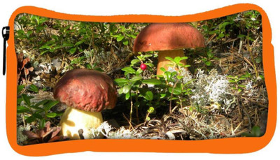 

Snoogg Eco Friendly Canvas Yellow Stem Mushroom Designer Student Pen Pencil Case Coin Purse Pouch Cosmetic Makeup Bag (ORANGE) Pouch(Multicolor)
