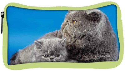 

Snoogg Eco Friendly Canvas Fluffy Kittens Animal Designer Student Pen Pencil Case Coin Purse Pouch Cosmetic Makeup Bag (GREEN) Pouch(Multicolor)