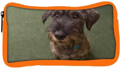 

Snoogg Eco Friendly Canvas Dog Shocking Face Designer Student Pen Pencil Case Coin Purse Pouch Cosmetic Makeup Bag (ORANGE) Pouch(Multicolor)