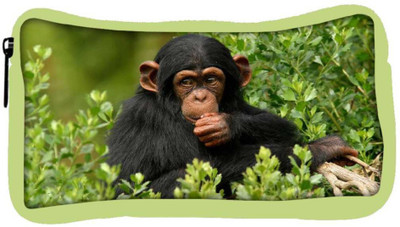 

Snoogg Eco Friendly Canvas Cute Chimpanese Designer Student Pen Pencil Case Coin Purse Pouch Cosmetic Makeup Bag (GREEN) Pouch(Multicolor)