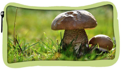 

Snoogg Eco Friendly Canvas Tiny Mushroom Designer Student Pen Pencil Case Coin Purse Pouch Cosmetic Makeup Bag (GREEN) Pouch(Multicolor)