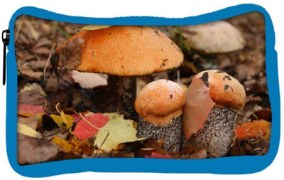 

Snoogg Eco Friendly Canvas Orange Mushroom Designer Student Pen Pencil Case Coin Purse Pouch Cosmetic Makeup Bag (BLUE) Pouch(Multicolor)