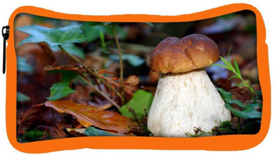 

Snoogg Eco Friendly Canvas White Mushroom Designer Student Pen Pencil Case Coin Purse Pouch Cosmetic Makeup Bag (ORANGE) Pouch(Multicolor)