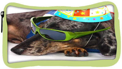 

Snoogg Eco Friendly Canvas A Dogs Life Having Fun At A Party Student Pen Pencil Case Coin Purse Pouch Cosmetic Makeup Bag (GREEN) Pouch(Multicolor)