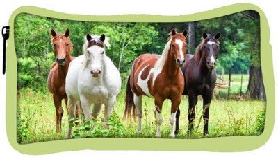 

Snoogg Eco Friendly Canvas Variety Of Horses Designer Student Pen Pencil Case Coin Purse Pouch Cosmetic Makeup Bag (GREEN) Pouch(Multicolor)