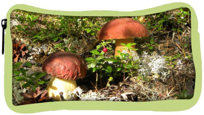 

Snoogg Eco Friendly Canvas Yellow Stem Mushroom Designer Student Pen Pencil Case Coin Purse Pouch Cosmetic Makeup Bag (GREEN) Pouch(Multicolor)