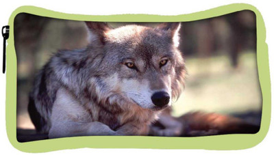 

Snoogg Eco Friendly Canvas Wolfy Dog Designer Student Pen Pencil Case Coin Purse Pouch Cosmetic Makeup Bag (GREEN) Pouch(Multicolor)