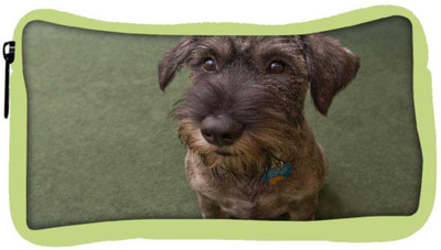 

Snoogg Eco Friendly Canvas Dog Shocking Face Designer Student Pen Pencil Case Coin Purse Pouch Cosmetic Makeup Bag (GREEN) Pouch(Multicolor)