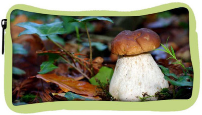 

Snoogg Eco Friendly Canvas White Mushroom Designer Student Pen Pencil Case Coin Purse Pouch Cosmetic Makeup Bag (GREEN) Pouch(Multicolor)