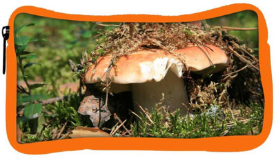 

Snoogg Eco Friendly Canvas Broken Mushroom Designer Student Pen Pencil Case Coin Purse Pouch Cosmetic Makeup Bag (ORANGE) Pouch(Multicolor)