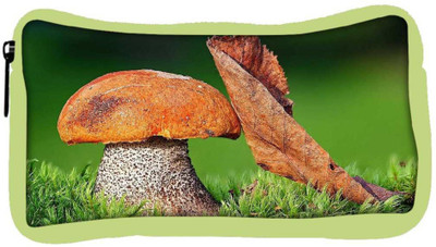 

Snoogg Eco Friendly Canvas Mushroom And Dried Leaf Designer Student Pen Pencil Case Coin Purse Pouch Cosmetic Makeup Bag (GREEN) Pouch(Multicolor)