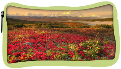 

Snoogg Eco Friendly Canvas Red Autumn Flower Designer Student Pen Pencil Case Coin Purse Pouch Cosmetic Makeup Bag (GREEN) Pouch(Multicolor)