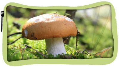

Snoogg Eco Friendly Canvas Yummy Mushroom Designer Student Pen Pencil Case Coin Purse Pouch Cosmetic Makeup Bag (GREEN) Pouch(Multicolor)