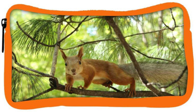 

Snoogg Eco Friendly Canvas Squarril Running Designer Student Pen Pencil Case Coin Purse Pouch Cosmetic Makeup Bag (ORANGE) Pouch(Multicolor)