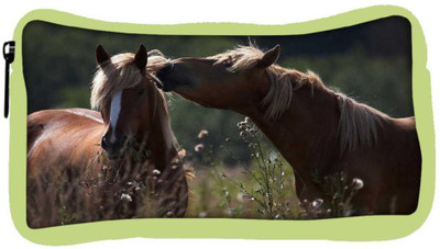 

Snoogg Eco Friendly Canvas Horse And Snow Designer Student Pen Pencil Case Coin Purse Pouch Cosmetic Makeup Bag (GREEN) Pouch(Multicolor)