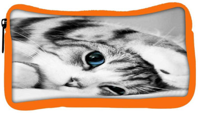 

Snoogg Casual Multicolor Clutch