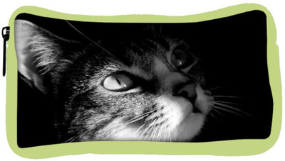 

Snoogg Eco Friendly Canvas Cute Kitty Designer Student Pen Pencil Case Coin Purse Pouch Cosmetic Makeup Bag (GREEN) Pouch(Multicolor)