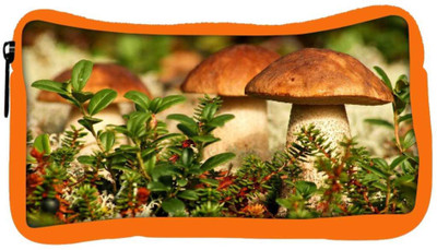 

Snoogg Eco Friendly Canvas Mushroom In Garden Designer Student Pen Pencil Case Coin Purse Pouch Cosmetic Makeup Bag (ORANGE) Pouch(Multicolor)