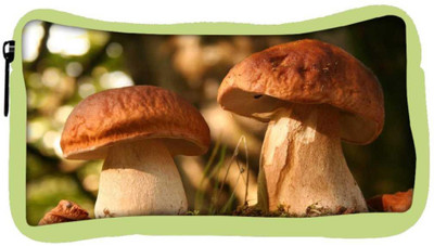

Snoogg Eco Friendly Canvas Abstract Mushroom Designer Student Pen Pencil Case Coin Purse Pouch Cosmetic Makeup Bag (GREEN) Pouch(Multicolor)
