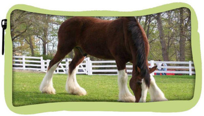 

Snoogg Eco Friendly Canvas Brown And White Horse Designer Student Pen Pencil Case Coin Purse Pouch Cosmetic Makeup Bag (GREEN) Pouch(Multicolor)
