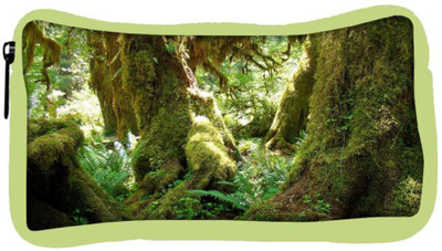 

Snoogg Eco Friendly Canvas Amazing Tree Designer Student Pen Pencil Case Coin Purse Pouch Cosmetic Makeup Bag (GREEN) Pouch(Multicolor)