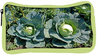 

Snoogg Eco Friendly Canvas Cabbage In Garden Student Pen Pencil Case Coin Purse Pouch Cosmetic Makeup Bag (GREEN) Pouch(Multicolor)