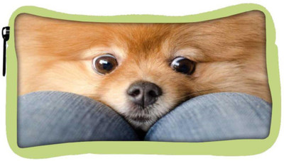 

Snoogg Eco Friendly Canvas Chihuahua Haha Student Pen Pencil Case Coin Purse Pouch Cosmetic Makeup Bag (GREEN) Pouch(Multicolor)
