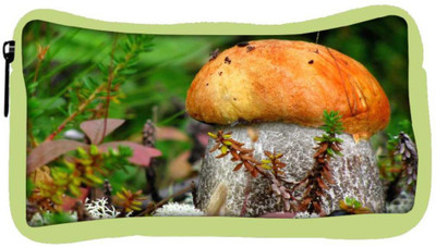 

Snoogg Eco Friendly Canvas Orange Mushroom Designer Student Pen Pencil Case Coin Purse Pouch Cosmetic Makeup Bag (GREEN) Pouch(Multicolor)
