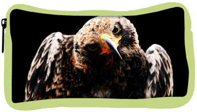 

Snoogg Eco Friendly Canvas Angry Eagle Designer Student Pen Pencil Case Coin Purse Pouch Cosmetic Makeup Bag (GREEN) Pouch(Multicolor)
