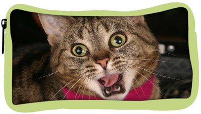 

Snoogg Eco Friendly Canvas Screaming Cat Designer Student Pen Pencil Case Coin Purse Pouch Cosmetic Makeup Bag (GREEN) Pouch(Multicolor)