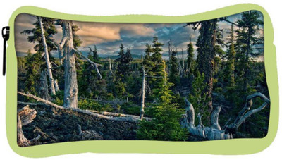 

Snoogg Eco Friendly Canvas White Tree Fallen Designer Student Pen Pencil Case Coin Purse Pouch Cosmetic Makeup Bag (GREEN) Pouch(Multicolor)