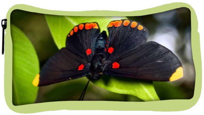 

Snoogg Eco Friendly Canvas Dark Black Butterfly Designer Student Pen Pencil Case Coin Purse Pouch Cosmetic Makeup Bag (GREEN) Pouch(Multicolor)