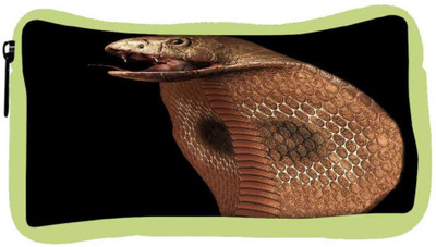 

Snoogg Eco Friendly Canvas Cobra Student Pen Pencil Case Coin Purse Pouch Cosmetic Makeup Bag (GREEN) Pouch(Multicolor)