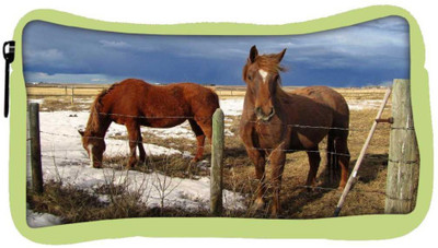 

Snoogg Eco Friendly Canvas Black Parental Horse Designer Student Pen Pencil Case Coin Purse Pouch Cosmetic Makeup Bag (GREEN) Pouch(Multicolor)