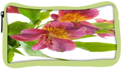 

Snoogg Eco Friendly Canvas Alstroemeria Flowers Student Pen Pencil Case Coin Purse Pouch Cosmetic Makeup Bag (GREEN) Pouch(Multicolor)
