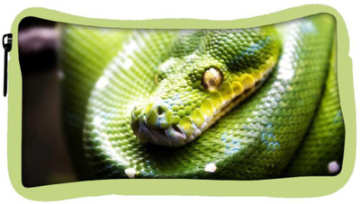 

Snoogg Eco Friendly Canvas Green Snake Designer Student Pen Pencil Case Coin Purse Pouch Cosmetic Makeup Bag (GREEN) Pouch(Multicolor)
