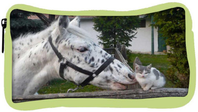 

Snoogg Eco Friendly Canvas Horse And Cat Designer Student Pen Pencil Case Coin Purse Pouch Cosmetic Makeup Bag (GREEN) Pouch(Multicolor)