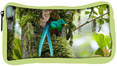 

Snoogg Eco Friendly Canvas Varient Unique Sparrow Designer Student Pen Pencil Case Coin Purse Pouch Cosmetic Makeup Bag (GREEN) Pouch(Multicolor)