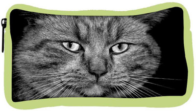 

Snoogg Eco Friendly Canvas House Cat Designer Student Pen Pencil Case Coin Purse Pouch Cosmetic Makeup Bag (GREEN) Pouch(Multicolor)