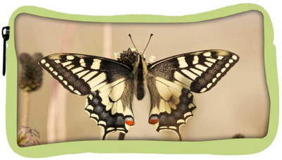 

Snoogg Eco Friendly Canvas Black Butterfly Designer Student Pen Pencil Case Coin Purse Pouch Cosmetic Makeup Bag (GREEN) Pouch(Multicolor)