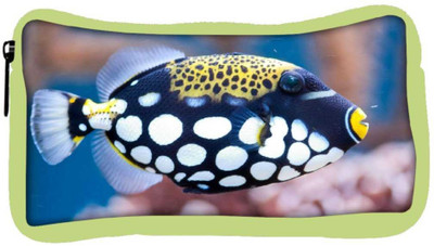 

Snoogg Eco Friendly Canvas Fish Animal Designer Student Pen Pencil Case Coin Purse Pouch Cosmetic Makeup Bag (GREEN) Pouch(Multicolor)